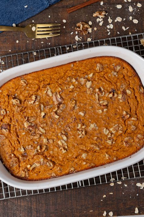 Protein Oatmeal Bake, Recipes Protein Powder, Healthy Recipes Protein, Healthy Macros, Cottage Cheese Breakfast Bowl, Oatmeal Dessert, Pumpkin Protein Pancakes, Baked Pumpkin Oatmeal, Pumpkin Pie Protein