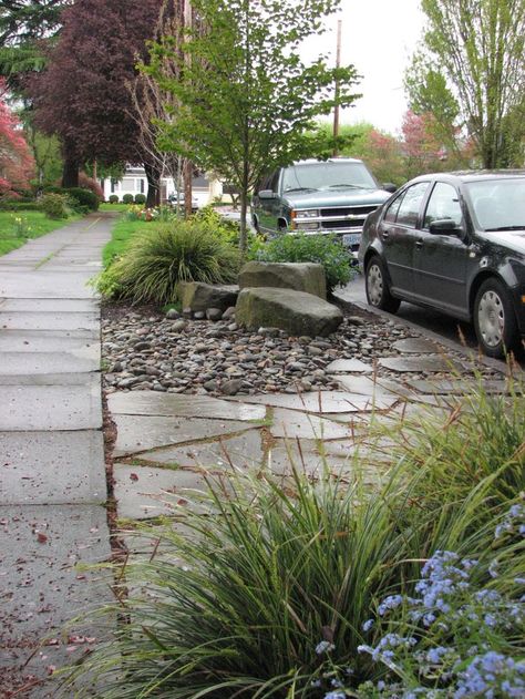 Hellstrip Garden, Sidewalk Landscaping, Pathway Landscaping, Planting Ideas, Front Yard Design, Front Landscaping, Low Maintenance Landscaping, Rock Garden Landscaping, Landscaping Tips