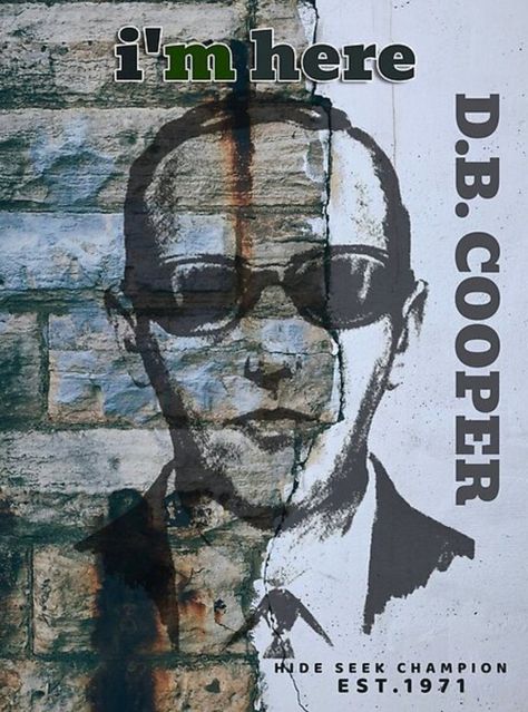 Db Cooper, Making Things, The Amazing, Phone Cases, Pillows, Movie Posters, Gifts, Design, Film Posters