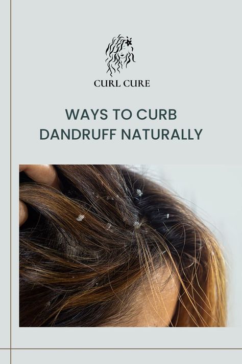 I am sure there is nobody with hair who has not faced dandruff occasionally. So today we are discussing some natural DIYs and some products you can use to reduce dandruff while doing your haircare! Dry scalp is a way of life for us naturally curly girls. Thankfully, our curls are very good at hiding these flakes, but there are far better ways to treat dry scalp for curly hair than simply putting it up in a bun, trying not to scratch, and hoping for the best. Treat Dry Scalp, Reduce Dandruff, Hoping For The Best, Dry Scalp, A Way Of Life, Curly Girl, Dandruff, Way Of Life, Naturally Curly