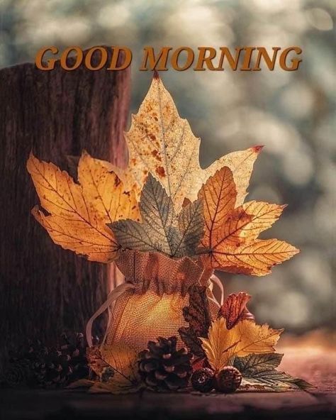 Monday Morning Gif, Inspirational Good Morning Messages, Good Monday Morning, Thanksgiving Blessings, Good Morning Funny Pictures, Daily Greetings, Morning Quotes Images, Good Morning Beautiful Pictures, Good Morning Friends Images