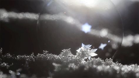 Ice Magic Gif, Snow Gif, Ice Magic, Ice Powers, Crystal Reed, Colossal Art, Magic Aesthetic, Ice Crystals, Winter Magic