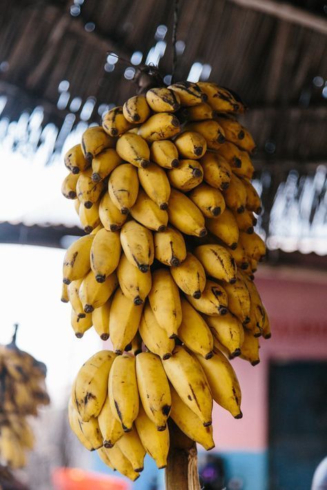 Spirited Pursuit, Brazilian Fruit, Zanzibar Travel, Tropical Aesthetic, Banana Fruit, Fruit Photography, Reduce Food Waste, Vegan Sweets, Vegan Dishes