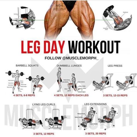 Leg Workout Leg Workouts For Men, Leg Day Workout, Leg Workouts Gym, Best Leg Workout, Transformation Motivation, Leg Workout At Home, Gym Workout Planner, Gym Workout Chart, Gym Workouts For Men