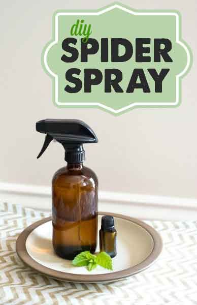 Spider Prevention, Spider Spray, Spiders Repellent, Diy Spider, Handy Gadgets, Get Rid Of Spiders, Insect Spray, Natural Pest Control, Bug Repellent