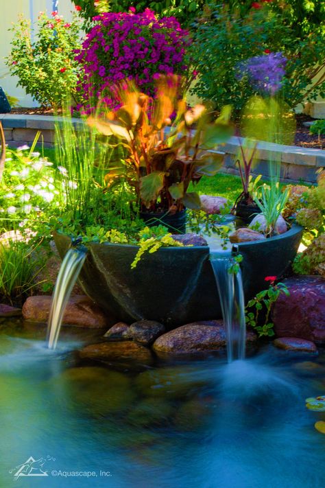 Creating a beautifully planted water bowl or container water garden has never been easier. Backyard Hill, Backyard Hill Landscaping, Unique Landscaping, Sunroom Decor, Pond Landscape, Hill Landscaping, Container Water Gardens, Landscaping On A Hill, Garden Pond Design