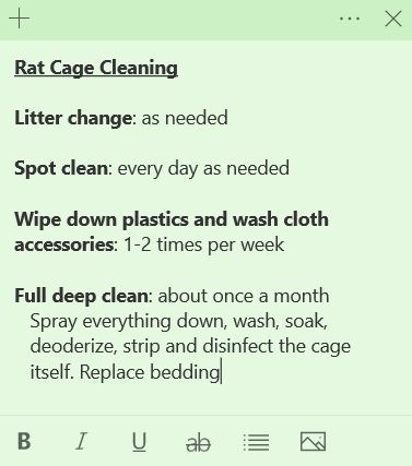 Rat Information, Pet Rat Supplies, Pet Rat Tips, Rat Care Tips, Pet Rat Cages Ideas, Rat Facts, Types Of Rats, Pocket Puppies, Diy Rat Toys