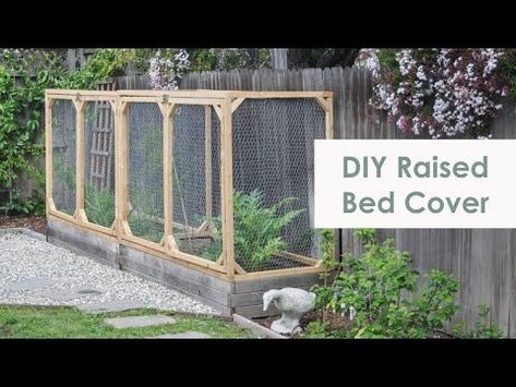 DIY Raised Garden Bed Cover | How to protect your vegetable garden from small animals - YouTube Fencing Around Raised Garden Beds, Raised Garden Bed Cover, Garden Bed Cover, Bed Enclosure, Diy Raised Garden Bed, Gemüseanbau In Kübeln, Diy Garden Bed, Diy Raised Garden, Raised Garden Beds Diy