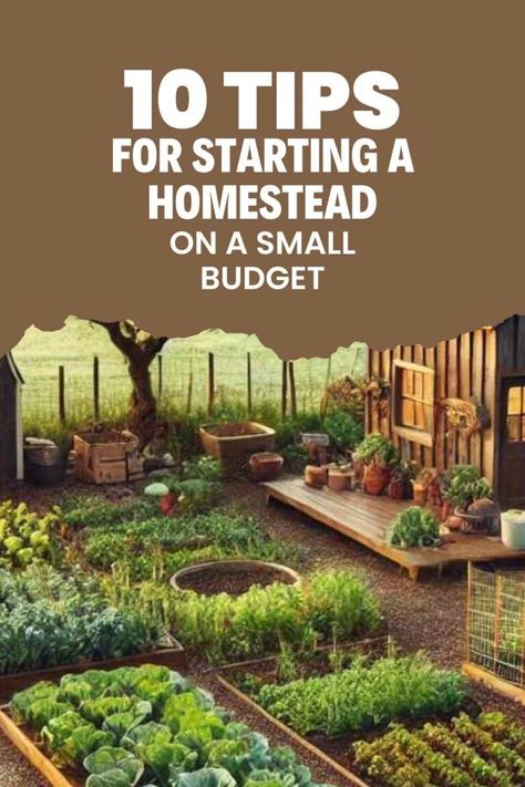 10 Tips For Starting A Homestead On A Small Budget Starting A Homestead From Scratch, Modern Homesteading, Debt Help, Succession Planting, Natural Ecosystem, Small Budget, Building Structure, Long Run, Off Grid Living