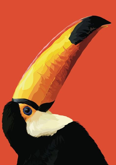 Hey, I found this really awesome Etsy listing at https://www.etsy.com/uk/listing/704751817/toucan-bird-art-print-toucan-art-bird Toucan Art, Toucan Bird, Bird Artwork, Bird Art Print, Arte Sketchbook, Fox Art, Tropical Birds, Arte Animal, Bird Illustration