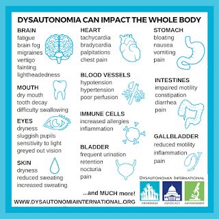 Autonomic Nervous System Dysfunction, Elhers Danlos Syndrome, Neurocardiogenic Syncope, Dysautonomia Awareness, Mast Cell Activation, Dysautonomia Pots, Mast Cell, Autonomic Nervous System, Ehlers Danlos