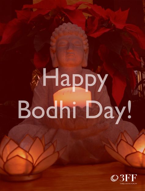 Today is Bodhi Day, commemorating the enlightenment of the Buddha. Bodhi Day, Winter Board, The Enlightenment, Jolly Holiday, Board Inspiration, The Buddha, Buddhism, Happy Holidays, Holidays