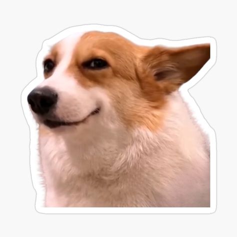 Get my art printed on awesome products. Support me at Redbubble #RBandME: https://www.redbubble.com/i/sticker/Sly-dog-smile-by-ARTmhmood/158691530.EJUG5?asc=u Smile Meme, Corgi Smile, Smiling Dog, Dog Corgi, Dog Meme, Corgi Funny, Dog Sticker, Meme Stickers, Smiling Dogs