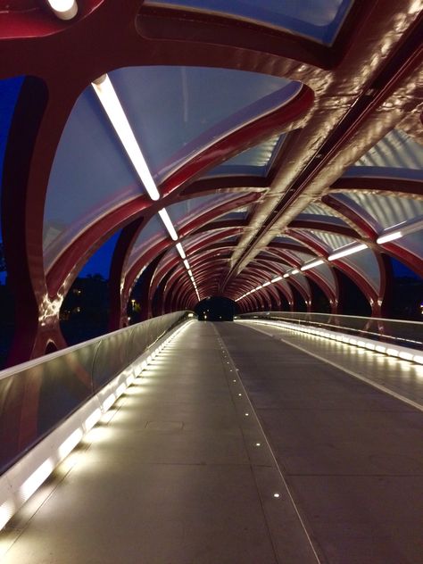 Peace Bridge on Bow river, Calgary, CA Peace Bridge, Travel Pictures, Calgary, Opera House, Sydney Opera House, Places To Visit, Bridge, Travel, Quick Saves