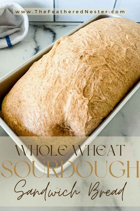 Whole Wheat Sourdough Sandwich Bread | This easy recipe uses a ready-to-go sourdough starter and King Arthur whole wheat flour for a slightly tangy, perfectly sweet and fluffy loaf every time. Prepare the dough in the evening and let it rest overnight before baking; with very little effort (but a bit of patience) you will be enjoying the best tender, sliceable, favorite toppings-worthy sandwich bread made with healthier whole wheat. Whole Wheat Sourdough Bread Starter, Sourdough With Whole Wheat Flour, White Whole Wheat Sourdough Bread, Whole Grain Sourdough Sandwich Bread, Sourdough Sandwich Bread Recipes, Fastest Sourdough Bread, Sour Dough Sandwich Bread Recipe, Easy Whole Wheat Sourdough Bread Recipe, Half Whole Wheat Bread Recipe