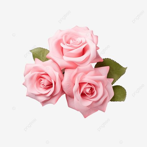 pink rose decoration Pink Rose Png, Rosé Png, Rose Decor, Transparent Image, Png Transparent, Rose Pink, Png Image, Pink Rose, Clip Art