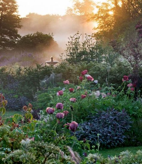 Sloped Yard, Pinterest Garden, Trees And Flowers, Flower Garden Design, The Secret Garden, Beautiful Flowers Garden, Romantic Garden, Garden Cottage, English Garden