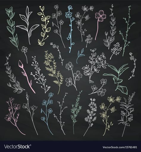 Cute Chalkboard Drawings, Chalkboard Plants, Floral Chalkboard Art, Flower Chalkboard Art, Flowers On Chalkboard, Chalk Marker Art, Texture Doodle, Chalk Flowers, Spring Chalkboard Art