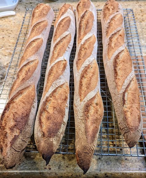 Tartine Bread Baguettes | The Dawg House! Tartine Bread, Bread Baguette, Baguette Recipe, Maillard Reaction, Protein Bread, Making Bread, Real Bread, Whole Wheat Flour, Bread Flour