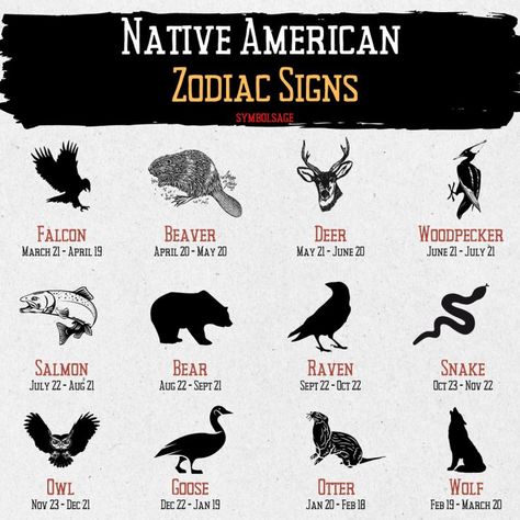 List of Native American zodiac signs. Native American Animal Symbols, Native American Astrology, Zodiac Sign Test, Native American Zodiac, Native American Animals, Animal Signs, American Mythology, Zodiac Cusp, Aquarius Birthday