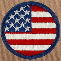 American Flag Patrol Patch (#687) Star Wars Service Dog Patches, Fdny Patches, Book Character Day, Glowing Background, American Flag Patch, Eagle Scout, Flag Patches, Patriotic Flag, Toy Blocks