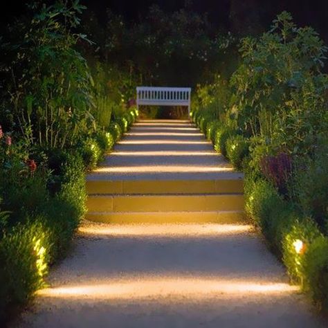 Led Strip Lights with Remote and Power Supply, Indoor/Outdoor – LEDMyplace Path Lighting Ideas, Garden Path Lighting, Garden Lighting Design, Walkways Paths, Outdoor Garden Lighting, Outdoor Landscape Lighting, Gardening Techniques, Pathway Lighting, Outdoor Light Fixtures