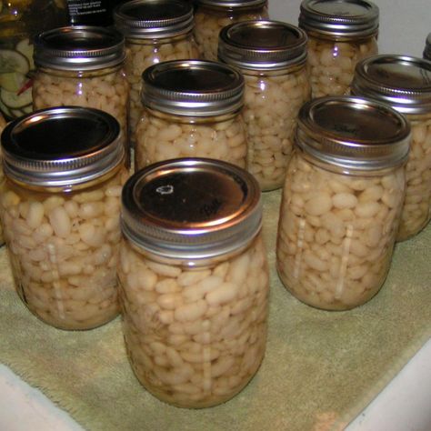 Canning Dried Beans or Peas Canning Dry Beans, Canning Dried Beans, Canning Jar Gifts, Dried Peas, Tater Tot Recipes, Freezing Fruit, Canning Kitchen, Peas Recipe, Canning Tips