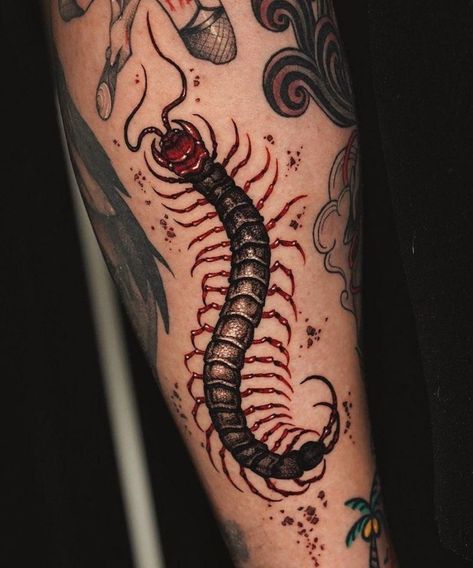 Centipede Tattoo, Shen Long Tattoo, Arte Hippy, Animal Sleeve Tattoo, Tattoo Filler, Insect Tattoo, Sick Tattoo, Bicep Tattoo, Cute Little Tattoos