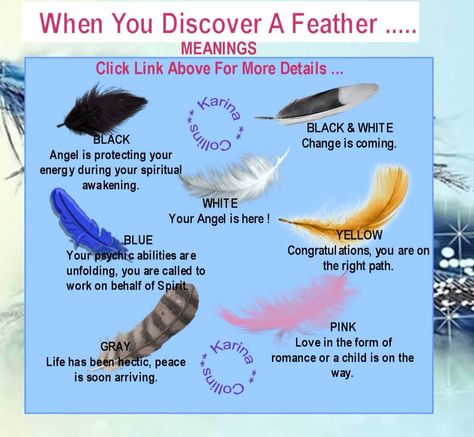 When you discover a feather Feather Meaning, Magia Das Ervas, After Life, Kitchen Witch, Back To Nature, Spell Book, Spirit Guides, Book Of Shadows, Spiritual Awakening