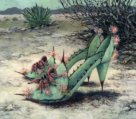 Dancing with Mexican Pinks by Carolyn Schmitz Pink Tarantula, Costume Fleur, Cactus Pictures, Desert Art, House Plants Decor, Arte Floral, Cacti And Succulents, Tropical Flowers, Native Plants