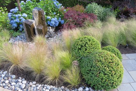 boxwood spheres and ornamental grasses Boxwoods And Ornamental Grasses, Topiary And Grasses, Shrubs Landscaping, Entry Garden, Mexican Feather Grass, Functional Garden, Tiny Farm, Residential Landscaping, Ornamental Grass