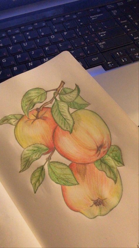 Fruits Drawing, Boho Art Drawings, Aesthetic Color, Colored Pencil Artwork, 1 Aesthetic, Art Tools Drawing, Book Art Diy, Wow Art, Mini Drawings