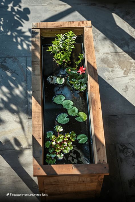 Plant Pot Pond, Balcony Pond Ideas, Small Fish Ponds Backyard, Patio Pond Ideas, Container Pond Ideas, Micro Pond, Diy Patio Pond, Mini Pond Ideas, Balcony Pond