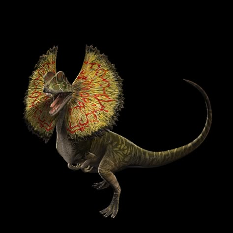 Dilophosaurus Jurassic World, Dinosaur Png, Jurrasic Park, Dinosaur Images, Dinosaur Drawing, Dinosaur Pictures, Jurassic World Dinosaurs, Dinosaur Art, Jurassic Park World