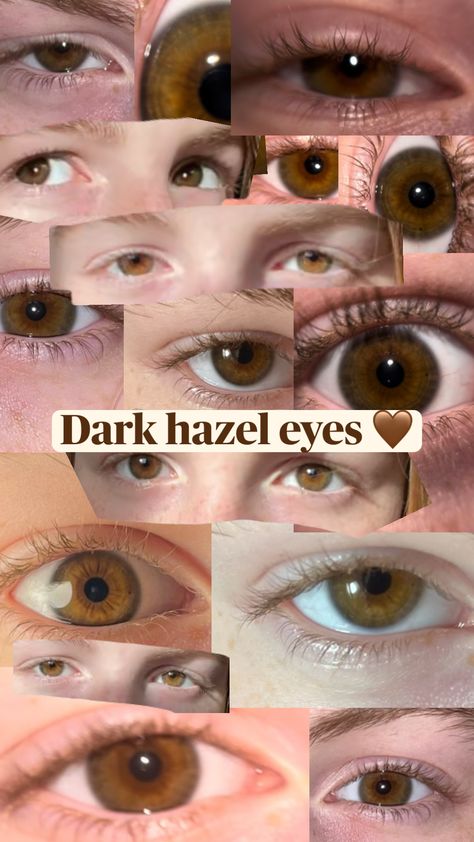 this is a dark hazel/light brown eyes appreciation post 🤎 #lightbrowneyes #darkhazeleyes #browneyes #hazeleyes Hazel Eye Contacts, Dark Hazel Eyes, Pretty Eyes Color, Hazel Brown Eyes, Light Brown Eyes, Rare Eye Colors, Dark Green Eyes, Brown Eyes Aesthetic, Hazel Green Eyes