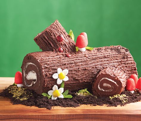 Swiss Roll Birthday Cake, Roll Birthday Cake, Roulade Cake, Gruffalo Party, Woodland Fairy Party, Woodland Party Theme, Diy Birthday Cake, Woodland Cake, Forest Birthday