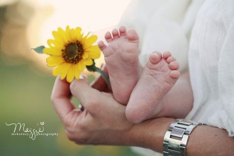 Pictures With Sunflowers, Sunflower Photo Shoot, Sunflower Maze, Sunflower Pics, Sunflower Shoot, Sunflower Field Pictures, Sunflower Photos, Sunflower Photoshoot, Newborn Family Pictures