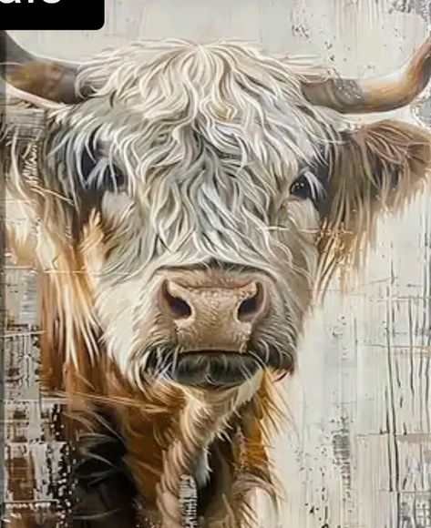 Highland Cow Photography, Highlander Cows, Metal Pictures, Bull Images, Highland Coo, Cow Artwork, Highland Cow Painting, Cow Photography, Highland Cow Art