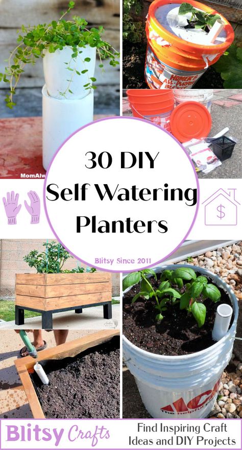 Self Watering Bottle, Diy Self Watering, Diy Self Watering Planter, Watering Tomatoes, Plant Watering System, Self Watering Containers, Herb Garden Planter, Garden Watering System, Self Watering Plants