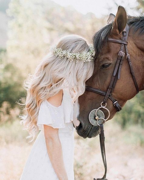 Horse Wedding Photos, Horse Photoshoot Ideas, Equine Photography Poses, Fell Pony, Horse Photography Poses, Heart And Flowers, British Landscape, Pictures With Horses, Beautiful Horses Photography