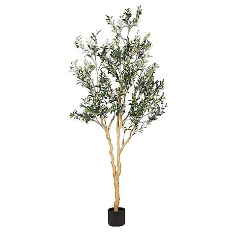 Check out this list Home decor from ashlyn__farquhar Fake Olive Tree, Tree With Branches, Olive Plant, Black Nursery, Rustic Apartment, Faux Olive Tree, Silk Tree, Corner Decor, Faux Tree