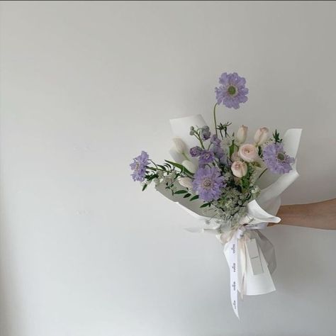 Lilac And White Aesthetic, Lavender And Mint Aesthetic, White And Lavender Aesthetic, Lavender And White Aesthetic, Light Lavender Aesthetic, White And Purple Aesthetic, Light Purple Widget Aesthetic, Purple Flower Aesthetic, Pastel Purple Flowers