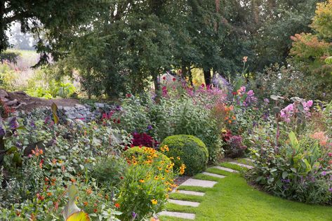 An unconventional, informal Irish garden full of wildlife | House & Garden Hydrangea Paniculata Limelight, Buddleja Davidii, Irish Garden, Hillside Garden, Prairie Garden, Hydrangea Paniculata, Bee Garden, Wildlife Gardening, Growing Seeds