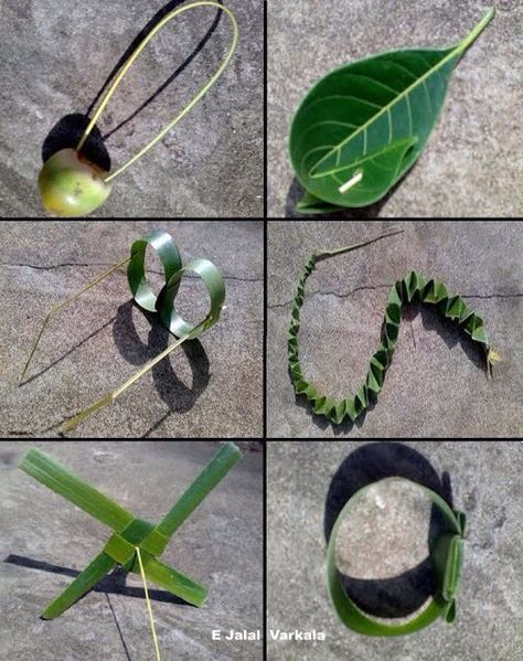 Some toys made from leaves... specially Coconut leaves Nostalgia Photography, Childhood Memories Quotes, Childhood Photography, Childhood Memories Art, Easy Rangoli Designs Videos, General Knowledge Questions, Questions With Answers, Diy Jewelry Set, Coconut Leaves