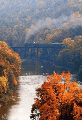 River GIF - River - Discover & Share GIFs Harpers Ferry, Autumn Scenery, Cabin In The Woods, Autumn Beauty, A Bridge, Train Tracks, Train Travel, Fall Foliage, A Train