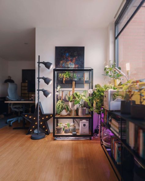 Bedroom Plant Storage, Growing Plants Indoors With Grow Lights, Plant Shelves With Lights, Plant Grow Light Setup, Living Room Grow Lights, Plant Shelf Lighting, Plants Lighting Indoor, Ikea Grow Light, Indoor Plant Grow Lights