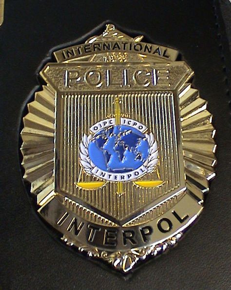 International Police (Interpol) badge Us Military Medals, Fire Badge, Law Enforcement Badges, Police Badges, Federal Law Enforcement, Queen Alexandra, Internal Affairs, Police Badge, Special Agent