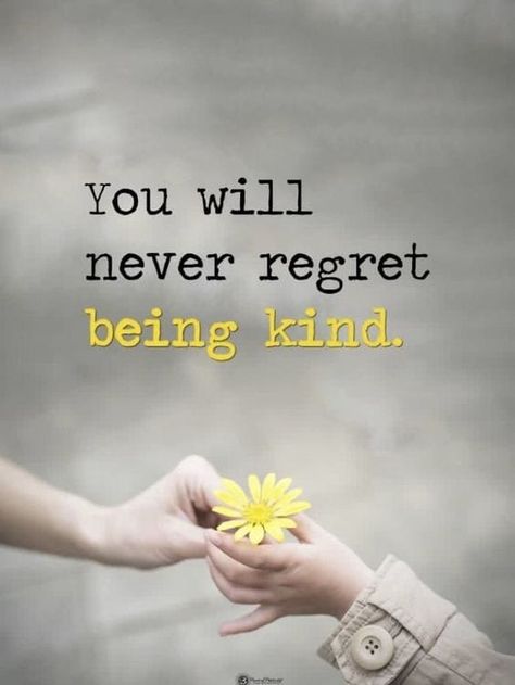 50 Kindness Quotes for Kids to Start Off the Day Right. One way to teach our little ones about spreading kindness is by repeating these mantras over and over! #spreadkindness #parenting A Course In Miracles, Never Regret, Kindness Quotes, Intj, Quotes For Kids, Beautiful Quotes, Morning Quotes, Meaningful Quotes, The Words