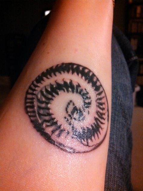 My nin tattoo, downward spiral 6~11~2014 Downward Spiral Tattoo, Nin Tattoo, Nine Inch Nails Tattoo, Spiral Tattoo, Spiral Tattoos, Downward Spiral, Goth Tattoo, Nine Inch Nails, Nail Tattoo