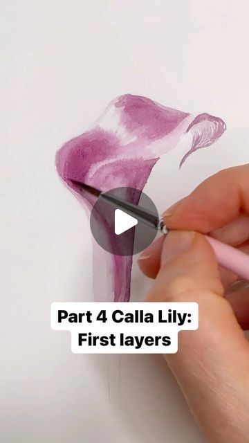 Kristine Rapohina on Instagram: "Part 4 Calla Lily step-by-step painting process - applying first layers.  Painting on a slightly moist surface with transparent layers of watercolor mix: Perylene Violet + Red Violet + Indigo. Starting from shadow area and smoothing layer towards lightest parts.   ‼️Important to keep light areas light and pur paper is the lightest we can get with watercolors. No white pigment, no masking fluid - only leaving white paper unpainted.   Next part - deepening colors with transparent layers to build more realistic look and volume   ‼️You can find all the previous parts here -  #paintstepbystepkristineart" Calla Lily Watercolor Painting, Lily Watercolor Painting, Layers Painting, Watercolor Lily, Step By Step Watercolor, Lily Painting, Watercolor Mixing, Red Violet, Area Lighting